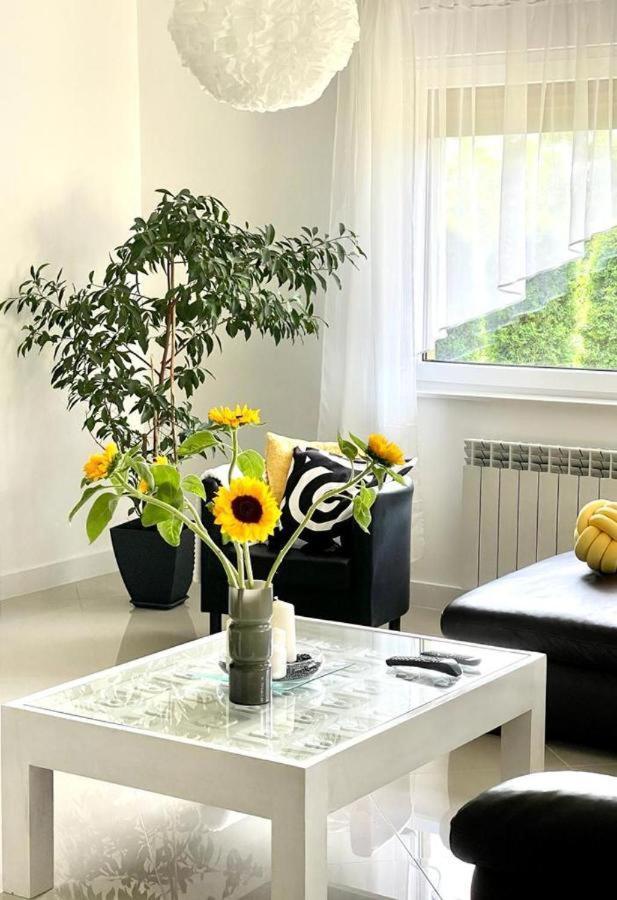 U Gosi Ferienhaus Zator